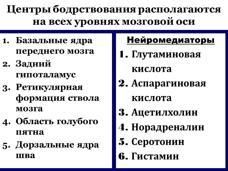 Центры бодрствования располагаются на всех уровнях мозговой оси Базальные ядра переднего мозга Задний гипоталамус